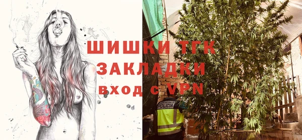 стаф Абаза