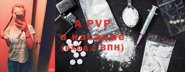 стаф Абаза