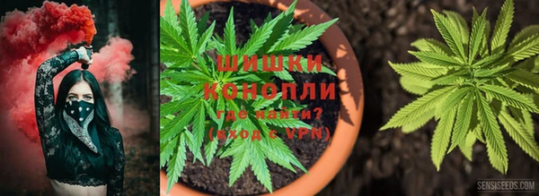 первитин Россошь