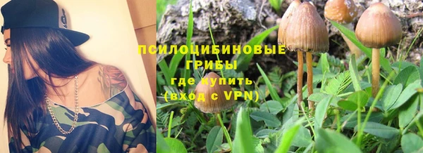 стаф Абаза