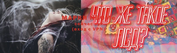 стаф Абаза